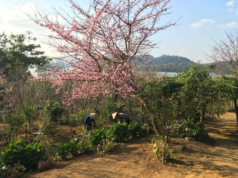 Hồ Pa Khoang – Khám phá vẻ đẹp thiên nhiên vùng Điện Biên