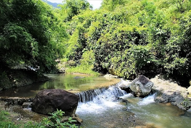 Hòa Bình tháng 3 – Khám phá vẻ đẹp mùa hoa anh đào