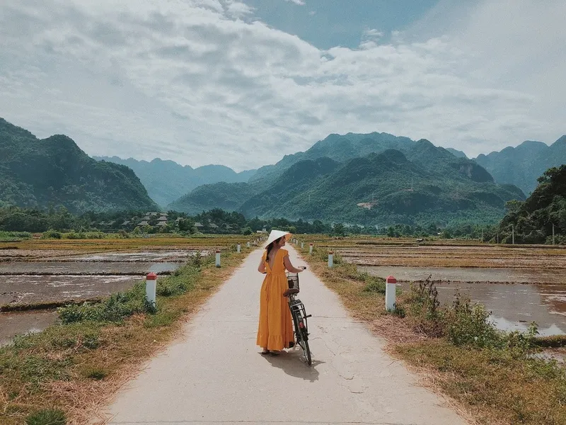 Hòa Bình Tháng 4 – Khám Phá Mùa Mận Chín Trên Cao Nguyên