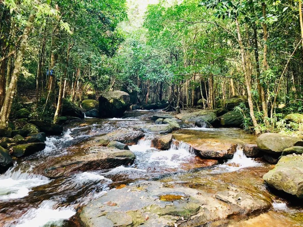 Hòa mình vào thiên nhiên tươi đẹp tại Suối Tranh Phú Quốc