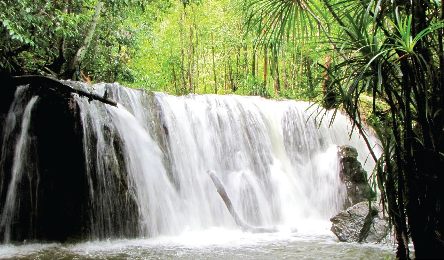 Hòa mình vào thiên nhiên tươi đẹp tại Suối Tranh Phú Quốc