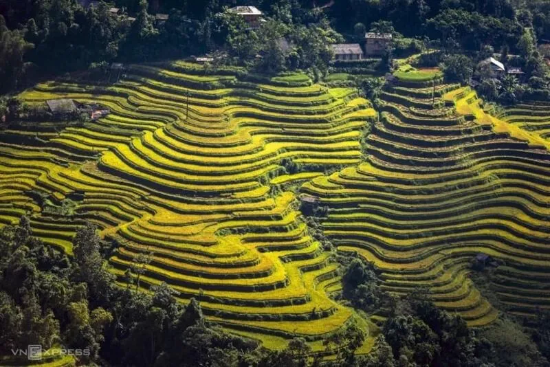 Hoàng Su Phì – Vẻ đẹp hoang sơ giữa chốn núi rừng Hà Giang