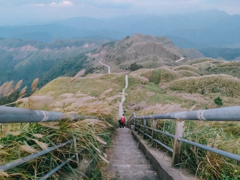 Khám phá Bình Liêu – Lãng mạn đồi cỏ lau Quảng Ninh