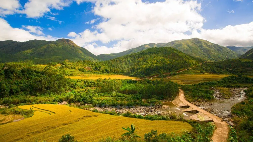 Khám phá Bình Liêu – Lãng mạn đồi cỏ lau Quảng Ninh