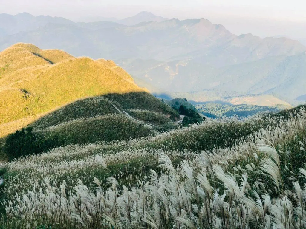 Khám phá Bình Liêu – Lãng mạn đồi cỏ lau Quảng Ninh