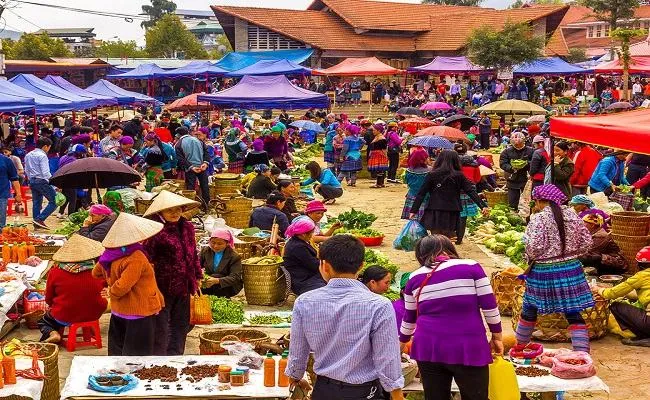 Khám phá Bình Liêu – Lãng mạn đồi cỏ lau Quảng Ninh