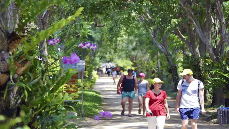 Khám phá đảo Hoa Lan Nha Trang – viên ngọc sáng giữa biển Nha Trang