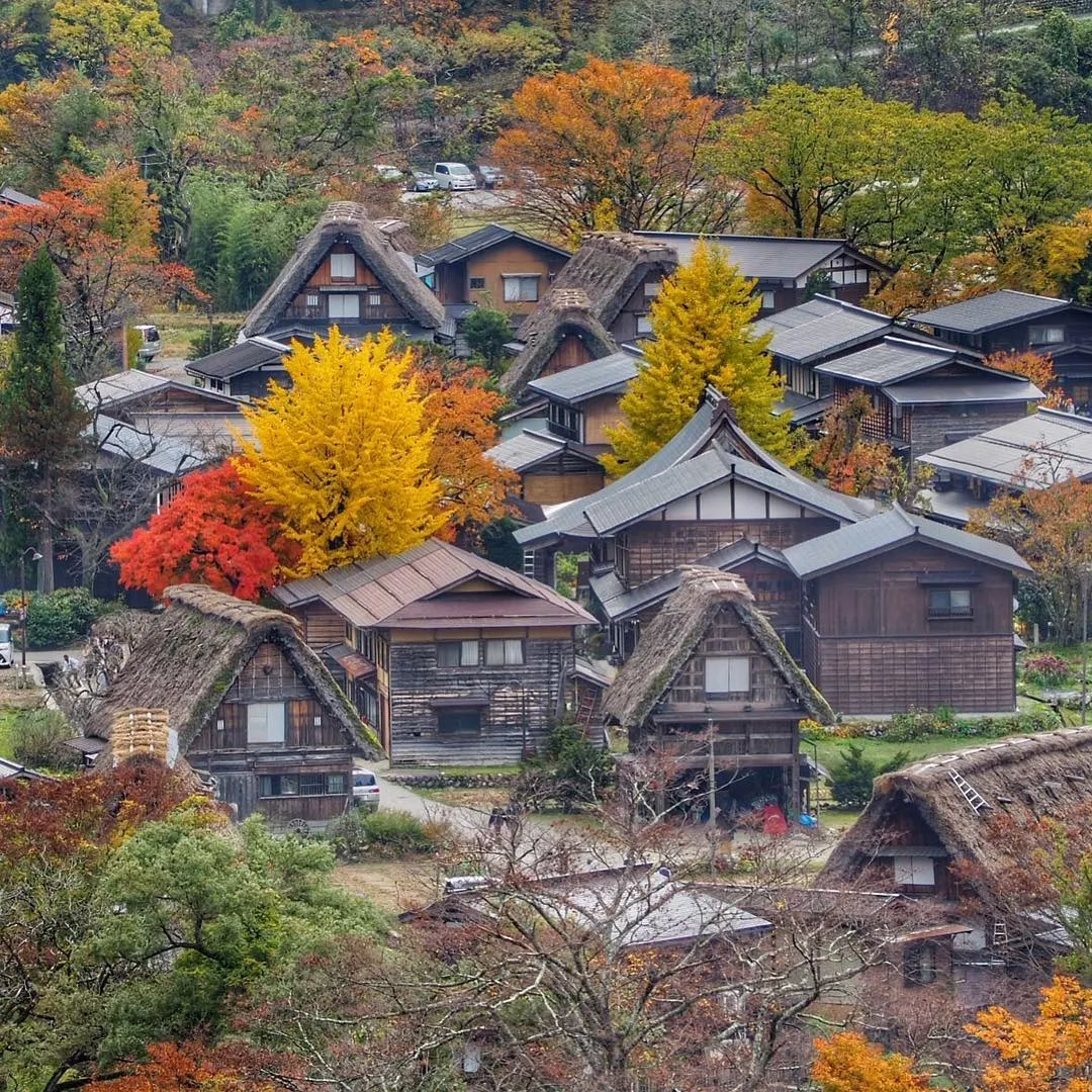 Khám phá Làng cổ Shirakawa-go – Vẻ đẹp bình yên tuyệt đẹp của xứ sở phù tang