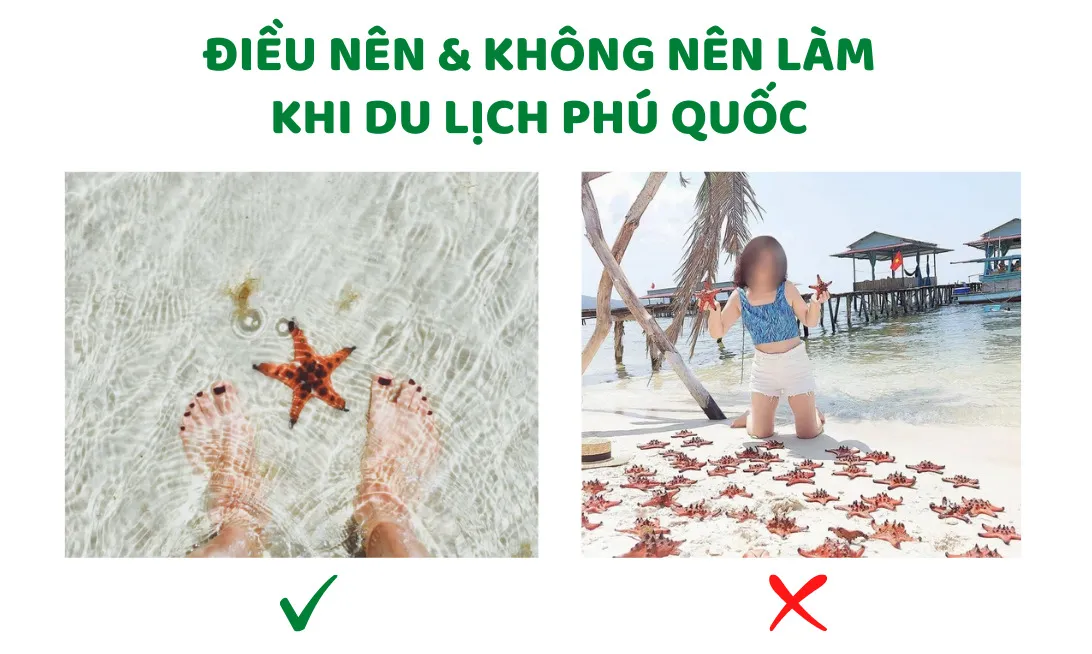 Khám phá Rạch Vẹm Phú Quốc – Review chi tiết từ A – Z