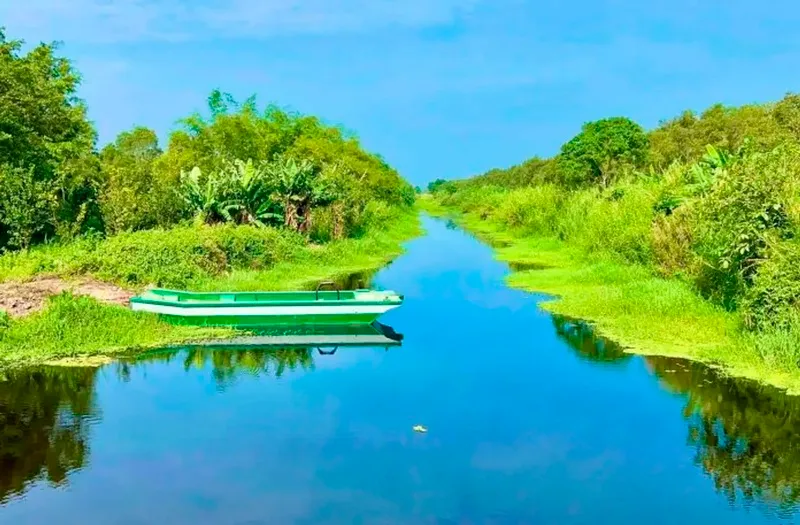 Khám phá rừng tràm U Minh với những điều kỳ thú của thiên nhiên