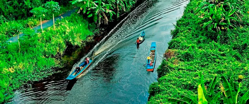 Khám phá rừng tràm U Minh với những điều kỳ thú của thiên nhiên