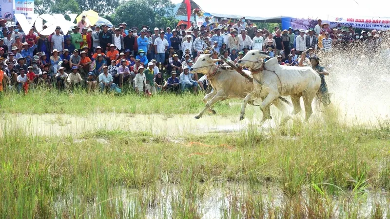 Khám Phá Thời Tiết An Giang – An Giang Mùa Nào Đẹp?