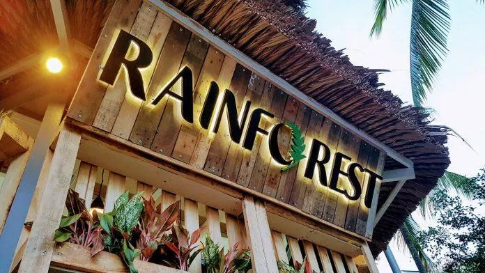 Khám phá “Tiệm Cà Phê Giếng Trời” Rainforest tại Nha Trang: Thiên đường nhiệt đới thu nhỏ