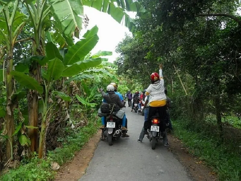 Khám phá vẻ đẹp tĩnh lặng nơi rừng tràm Trà Sư