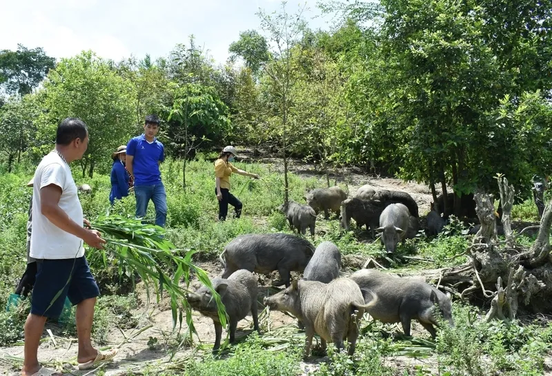 Khoáng nóng Thanh Thủy – Kinh nghiệm khám phá từ A đến Z