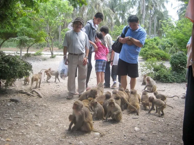 Kinh nghiệm đi đảo khỉ Cát Bà – Điểm sáng du lịch Hải Phòng