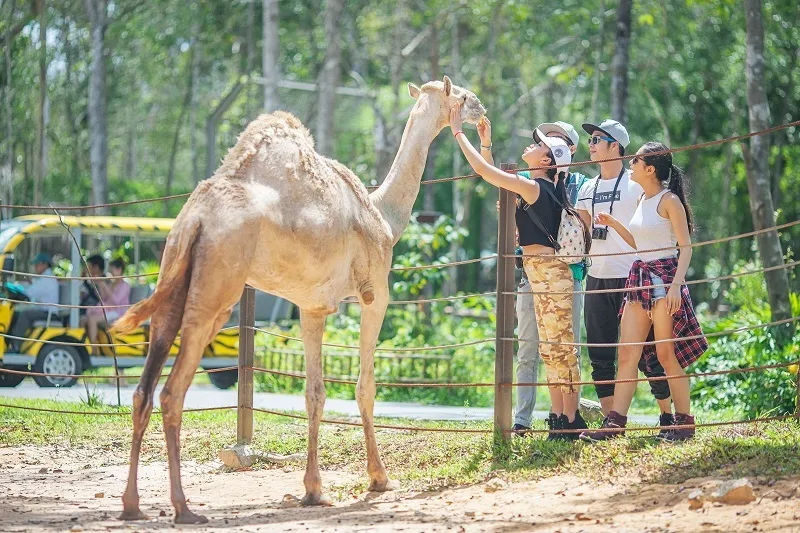 Kinh nghiệm đi tour Phú Quốc 3 ngày 2 đêm tự túc dành cho bạn