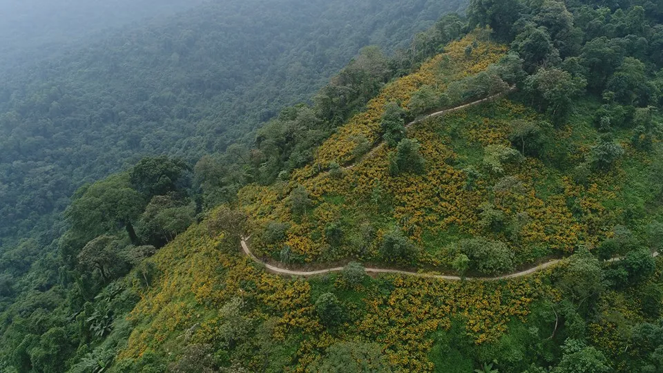 Kinh nghiệm du lịch Ba Vì 2 ngày 1 đêm chi tiết