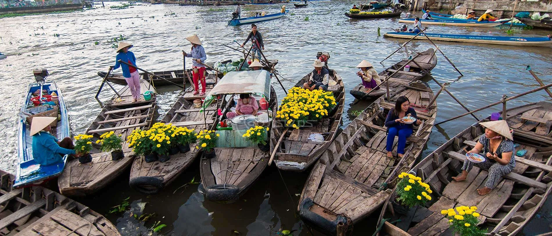 Kinh nghiệm du lịch Cần Thơ – Thông tin bỏ túi hữu ích