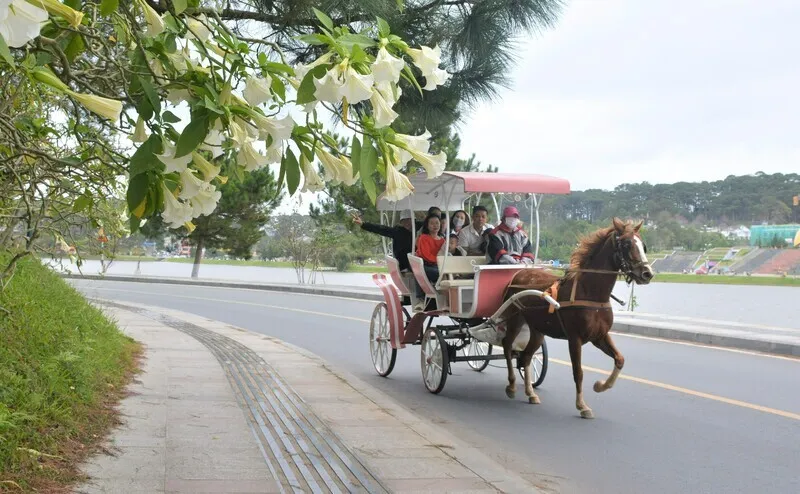 Kinh nghiệm du lịch Đà Lạt dành cho bạn – Cẩm nang du lịch chi tiết từ A đến Z