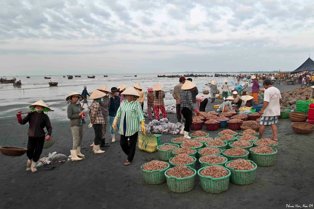 Kinh nghiệm du lịch Long Hải trong vòng 2 ngày 1 đêm