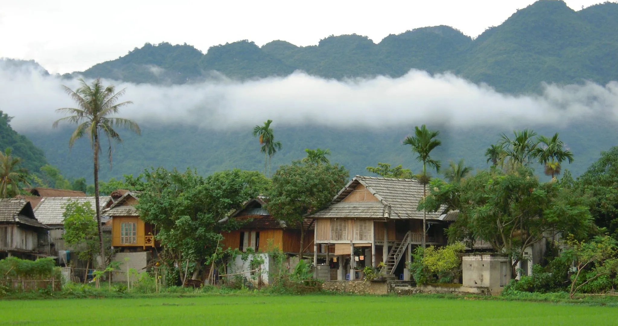 Kinh nghiệm du lịch Mai Châu Hòa Bình từ A – Z