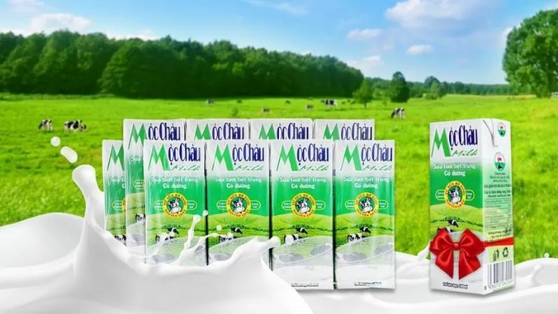 Kinh nghiệm du lịch Mộc Châu tháng 2 chi tiết từ A – Z