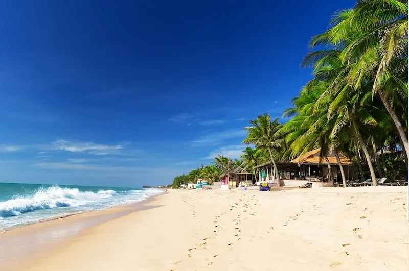 Kinh nghiệm du lịch Phan Thiết mới nhất chi tiết nhất từ A đến Z