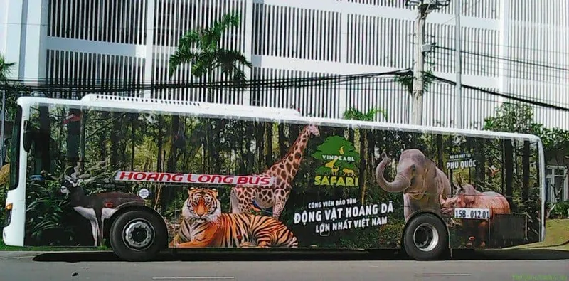 Kinh nghiệm du lịch Safari Phú Quốc – Thế giới động vật Safari Phú Quốc muôn màu