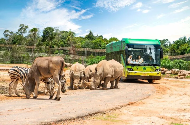 Kinh nghiệm du lịch Safari Phú Quốc – Thế giới động vật Safari Phú Quốc muôn màu