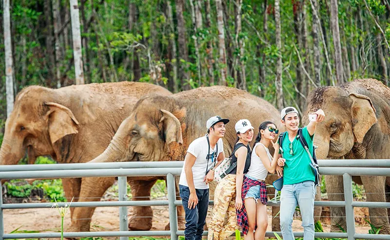 Kinh nghiệm du lịch Safari Phú Quốc – Thế giới động vật Safari Phú Quốc muôn màu