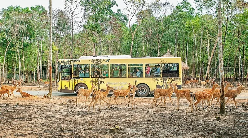 Kinh nghiệm du lịch Safari Phú Quốc – Thế giới động vật Safari Phú Quốc muôn màu