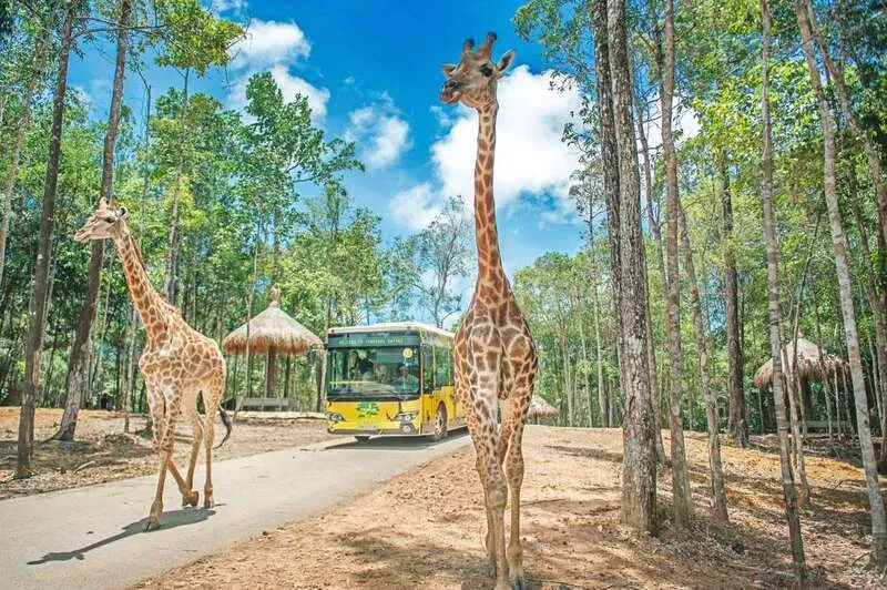 Kinh nghiệm du lịch Safari Phú Quốc – Thế giới động vật Safari Phú Quốc muôn màu