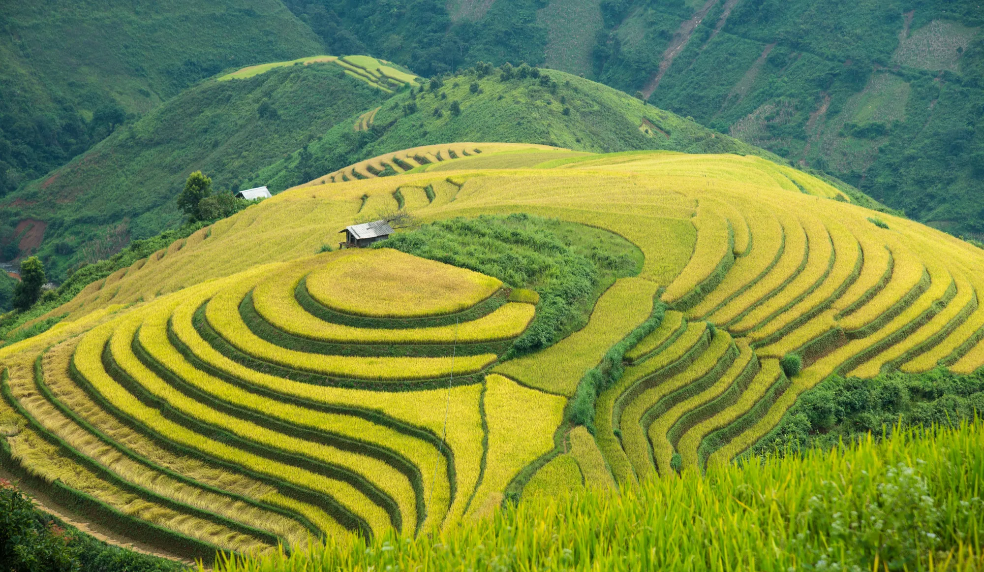 Kinh nghiệm du lịch Tà Xùa – Review chi tiết mới nhất từ A – Z