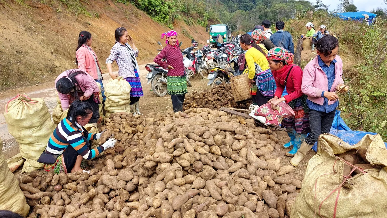 Kinh nghiệm du lịch Y Tý cập nhật mới nhất