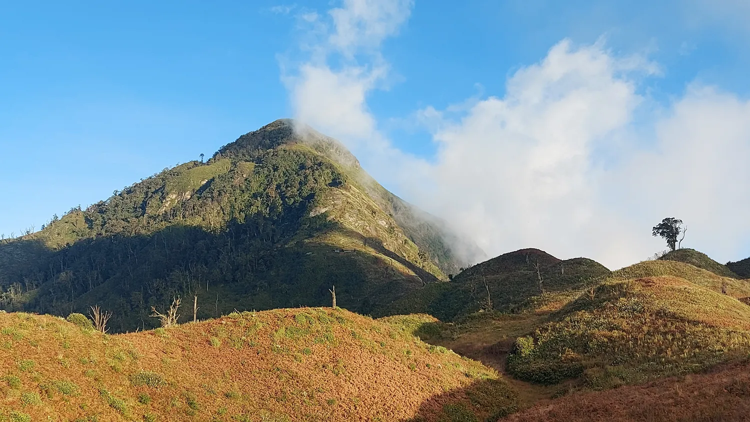 Kinh nghiệm khám phá Lảo Thẩn – Điểm trekking lý tưởng để săn mây