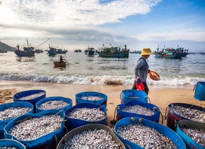 Làng chài Hải Minh – Vẻ đẹp lãng mạn và đầy sức hút