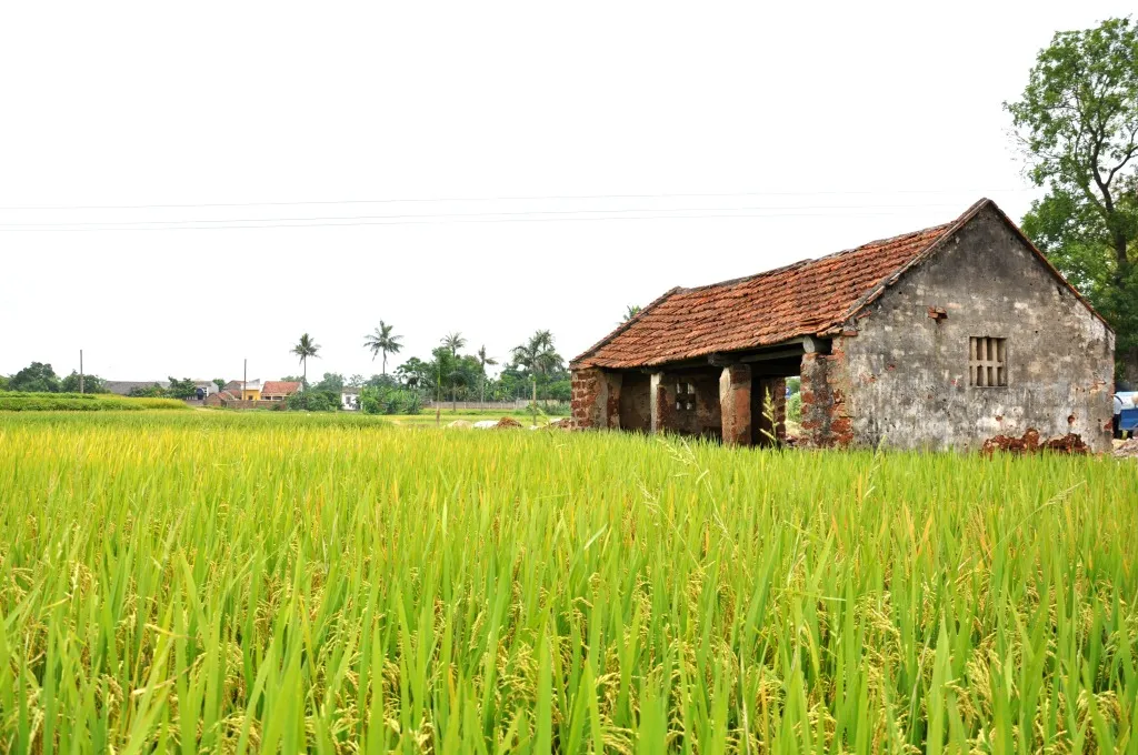 Làng cổ Đường Lâm – Nơi bảo tồn những giá trị cổ xưa