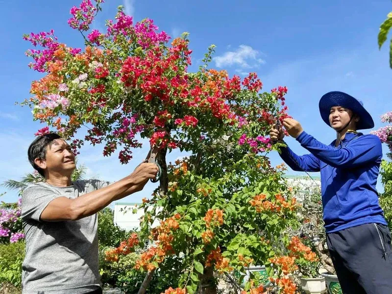 Làng hoa Bà Bộ – Thiên đường hoa nổi tiếng nhất Cần Thơ