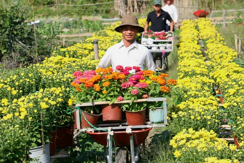 Làng hoa Bà Bộ – Thiên đường hoa nổi tiếng nhất Cần Thơ