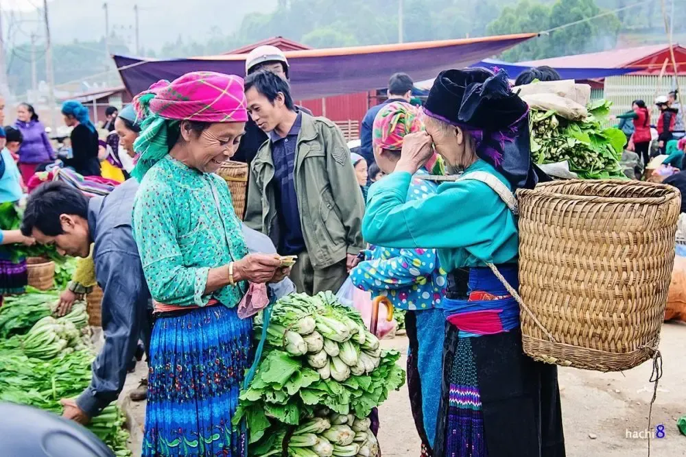 Mã Pí Lèng – Cung đèo hiểm trở và vẻ đẹp động lòng người