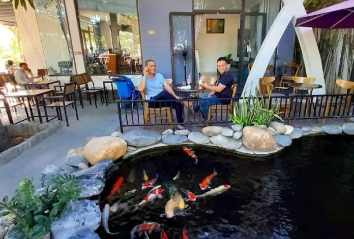 Mách bạn 15 quán cà phê cá koi Đà Nẵng siêu xinh nên ghé thử