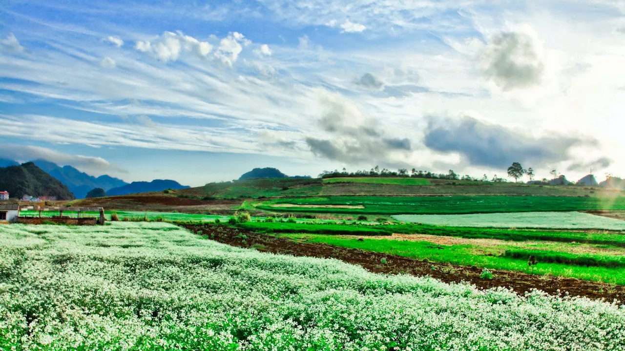 Mai Châu mùa nào đẹp? Kinh nghiệm du lịch Mai Châu