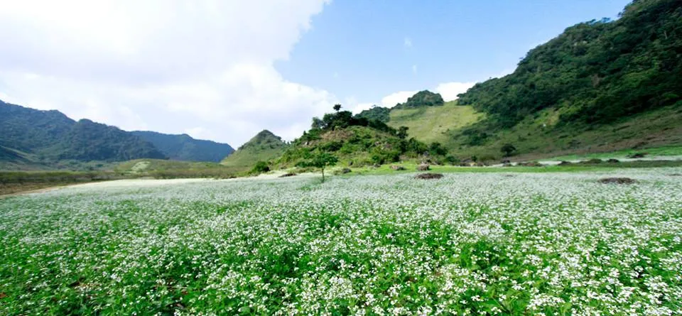 Mai Châu mùa nào đẹp? Kinh nghiệm du lịch Mai Châu