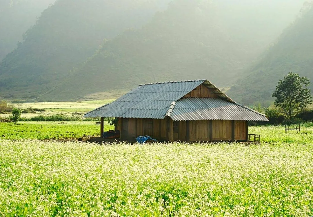 Mộc Châu mùa nào đẹp nhất trong 4 mùa bạn đã biết chưa?