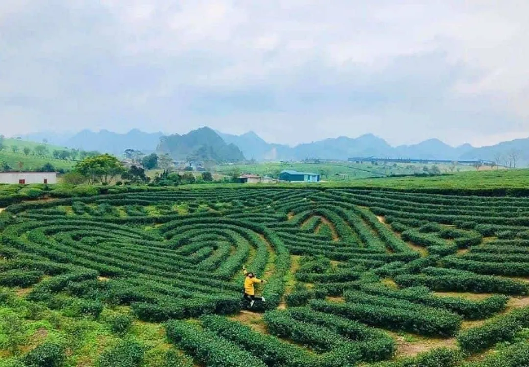 Mộc Châu mùa nào đẹp nhất trong 4 mùa bạn đã biết chưa?