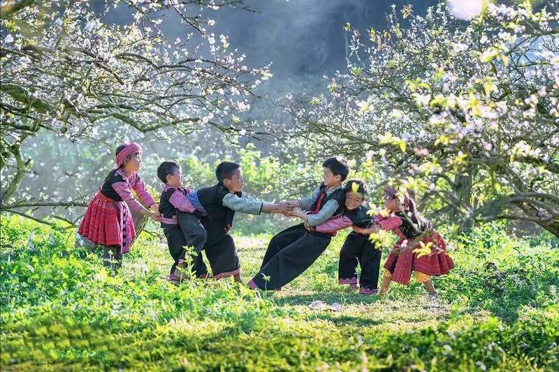 Mộc Châu tháng 1 – Vi vu mùa xuân đến với miền hoa nở