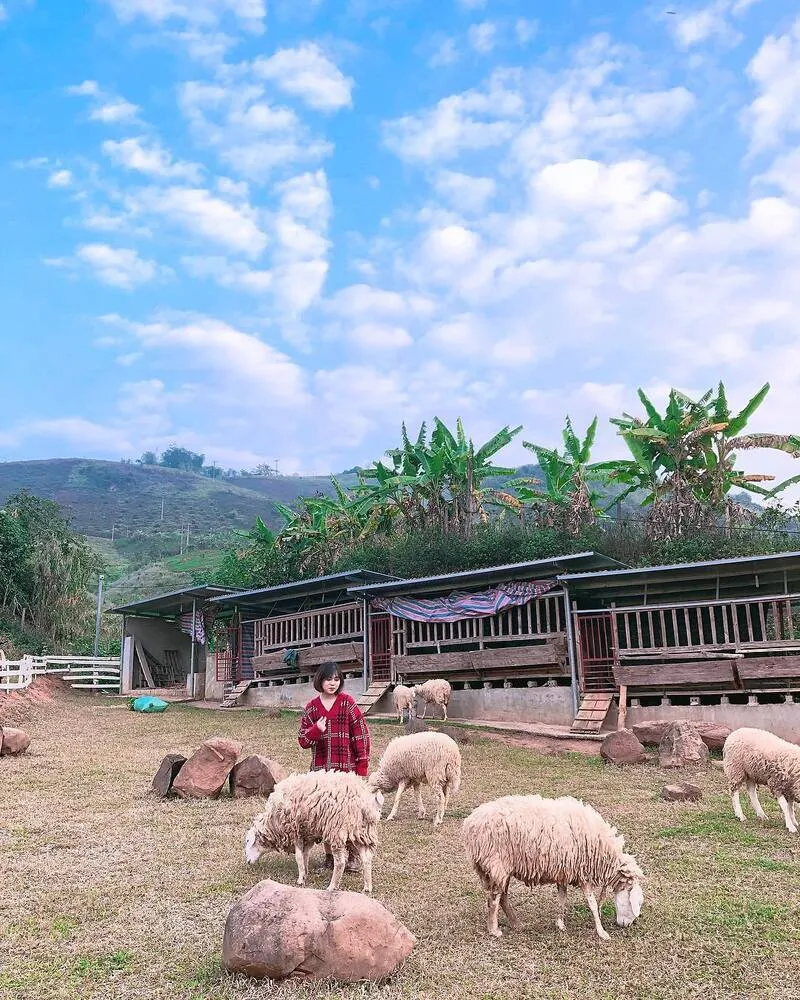 Mộc Châu tháng 10 – Khám phá nét đẹp độc nhất vô nhị của nơi đây