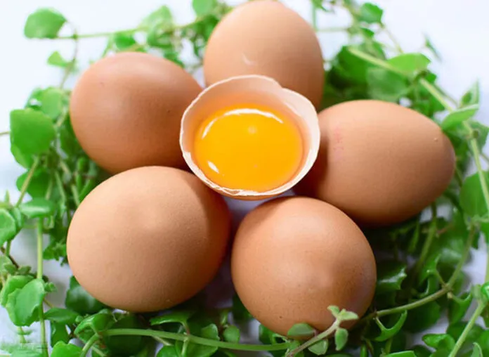 Món ngon bắt mắt từ trứng: chia sẻ cách làm món chả trứng cuộn cực kỳ hao cơm!