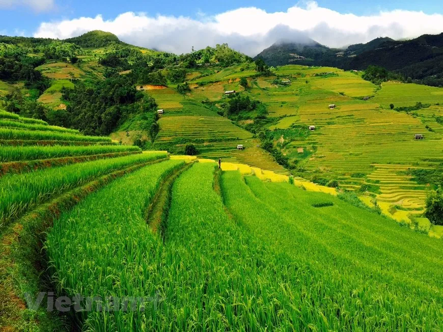 Mù Cang Chải – Bình yên thả mình giữa núi rừng Tây Bắc